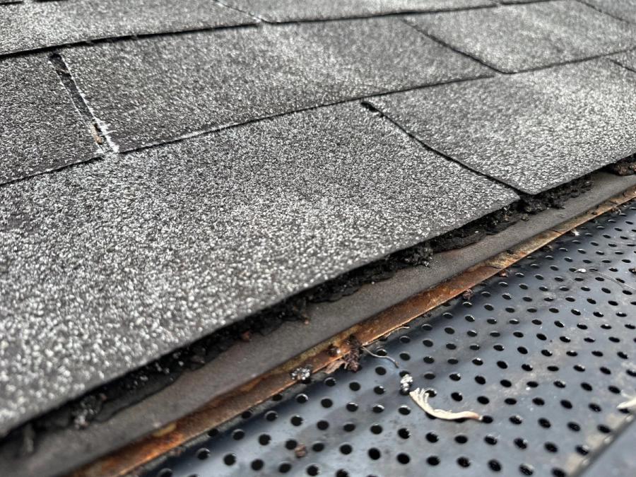 The existing gutter with a perforated guard fitted, packed with debris beneath it, photographed during the inspection.