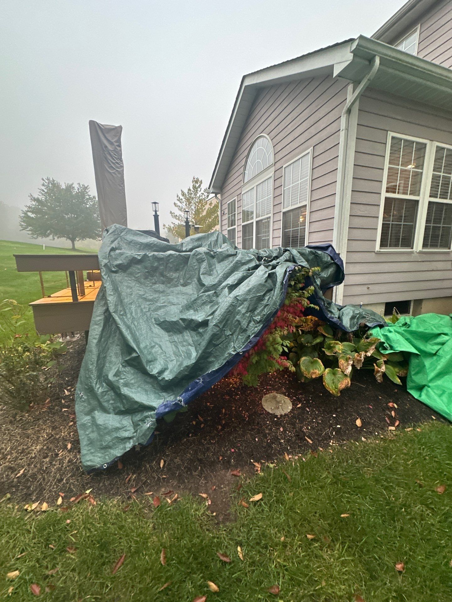 Tarps over the bed beside the back deck, Beavercreek, Ohio.