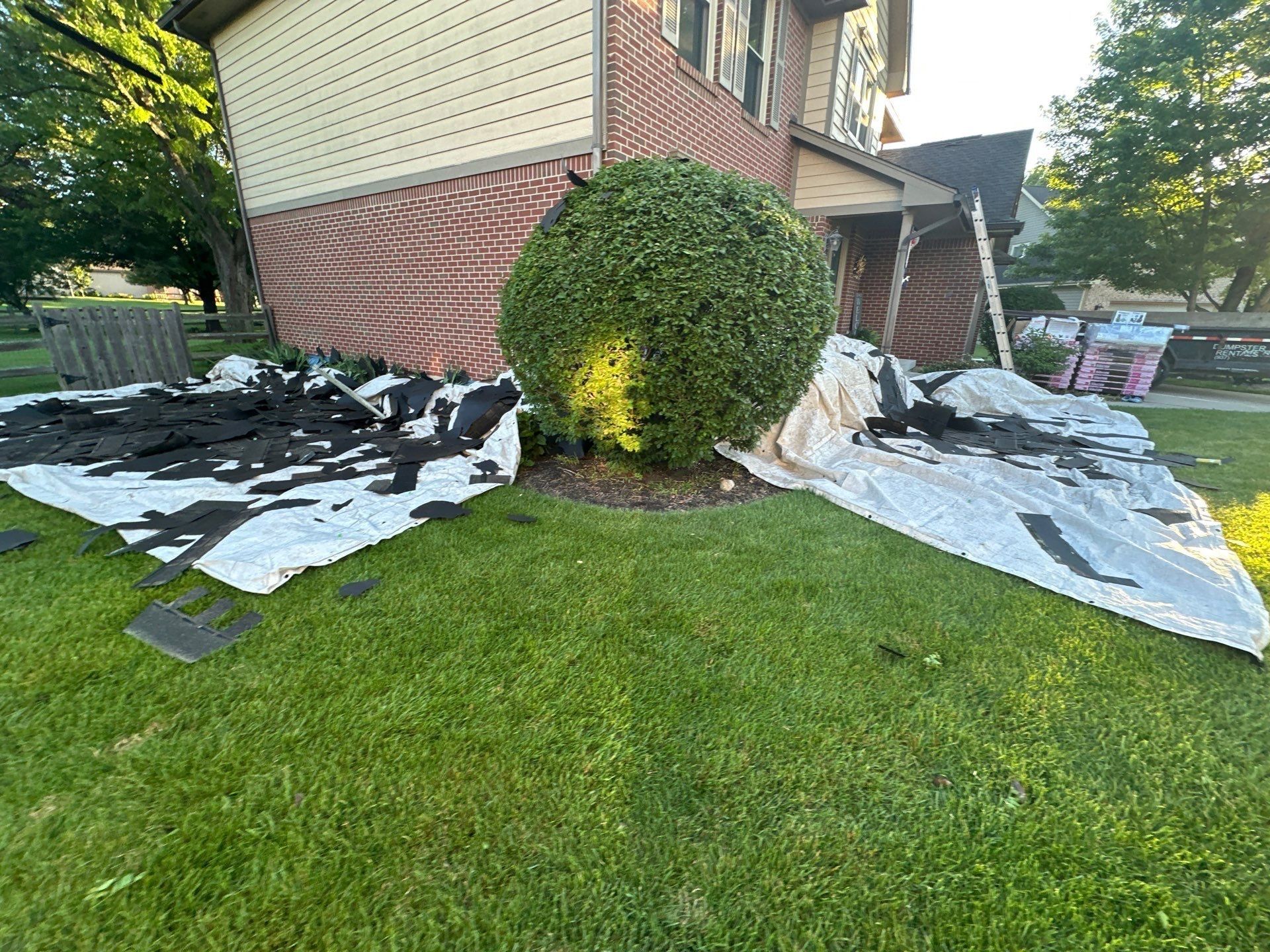 Tarps spread around a round shrub to catch debris during tear-off, Beavercreek, Ohio.