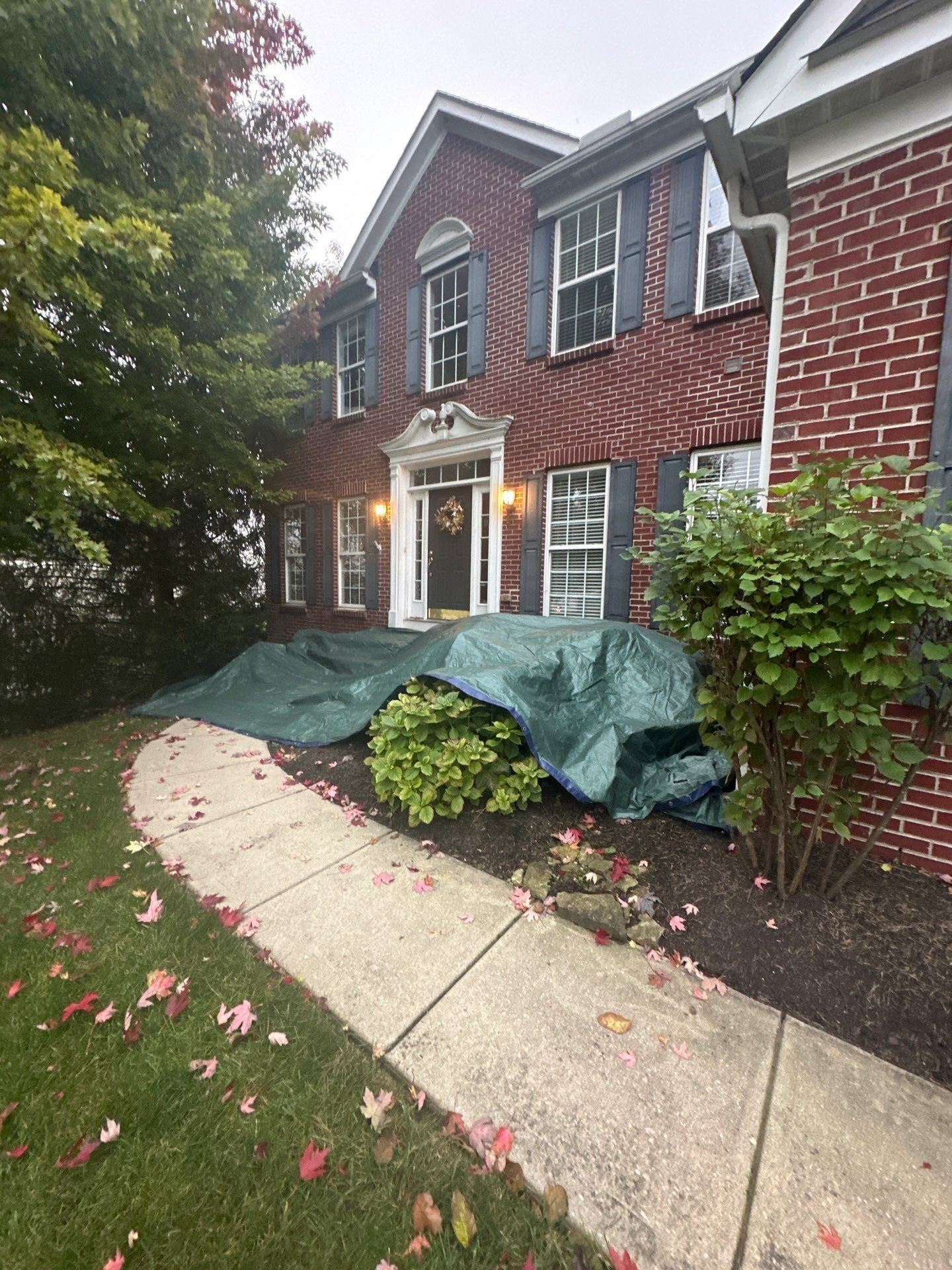 A green tarp over the front flower bed beside the walk, Beavercreek, Ohio.