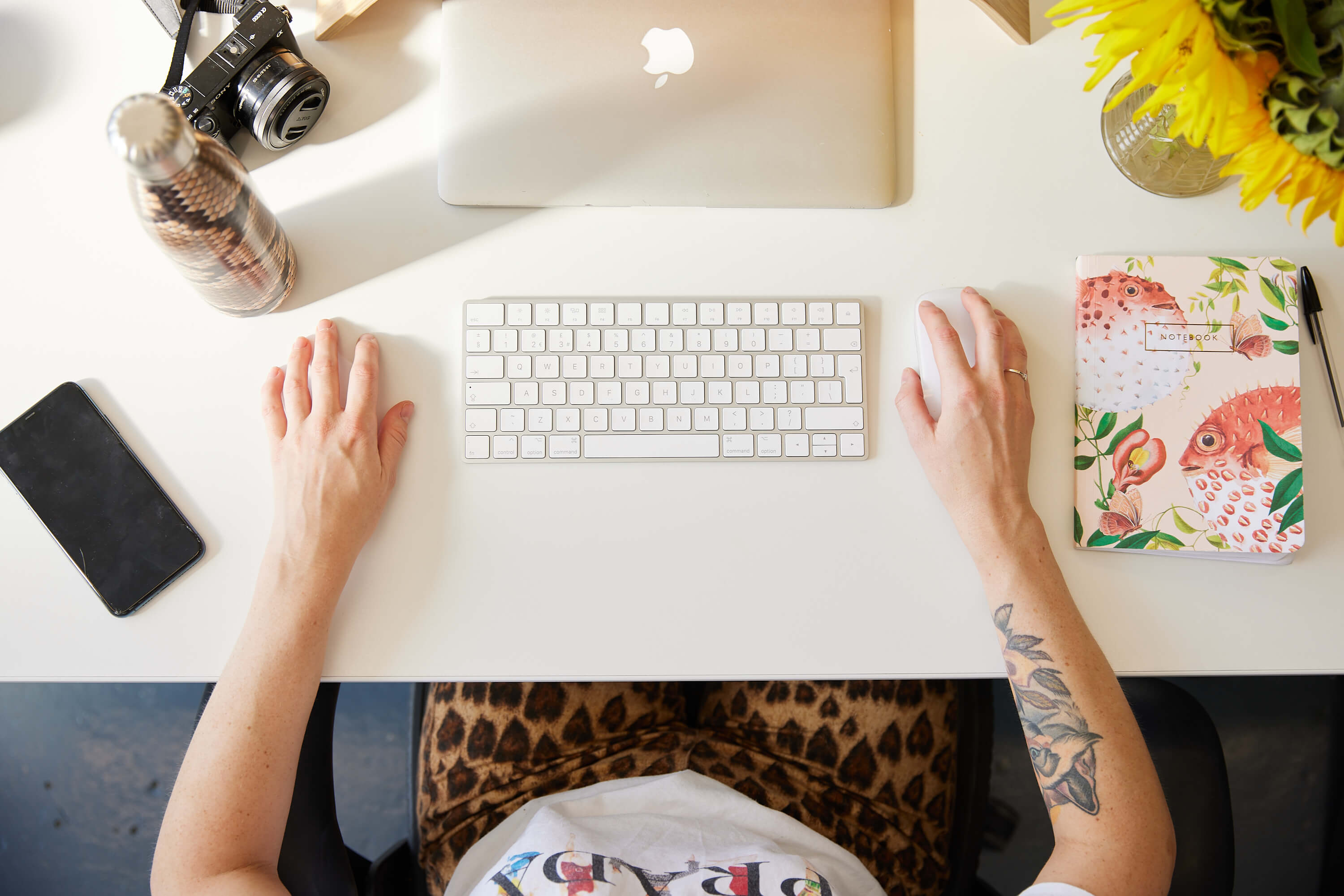 Job Advert Part time marketing manager Swwim