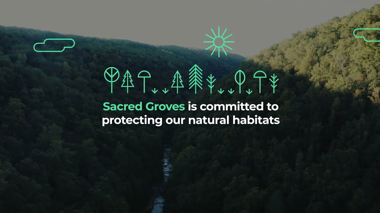 Sacred Grooves