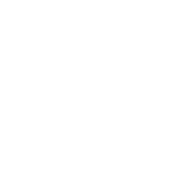 Ikon som viser at du får hastighet tilpasset deg