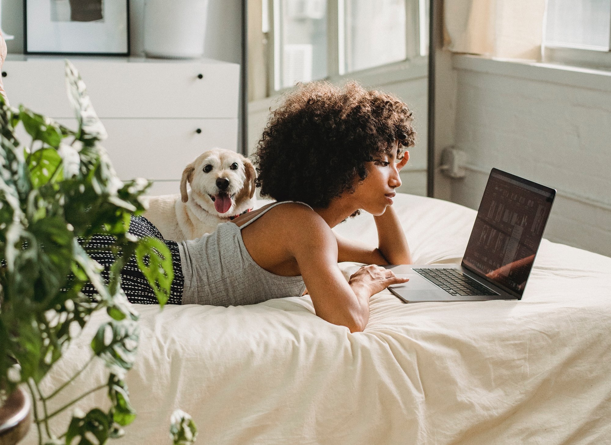 Les våre 5 beste tips for bedre WiFi-dekning