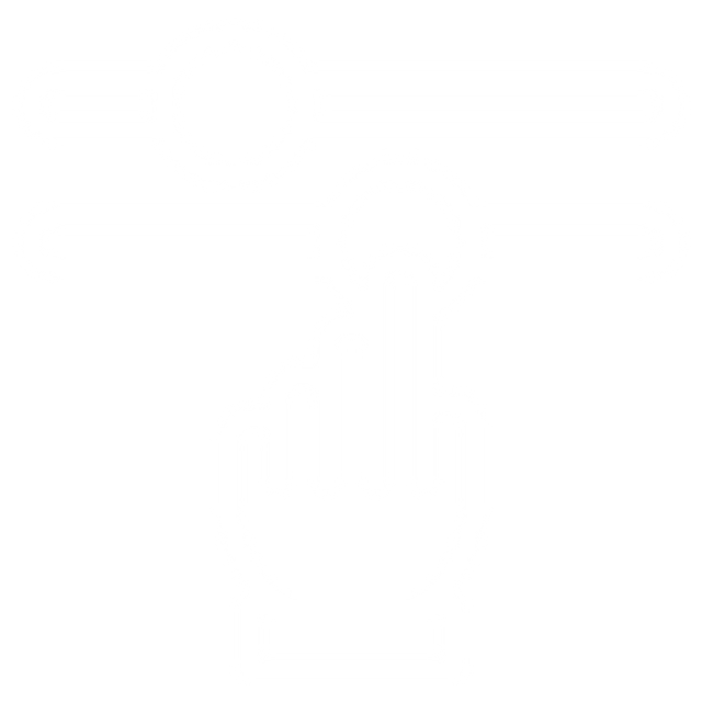 Ikon som viser full kontroll