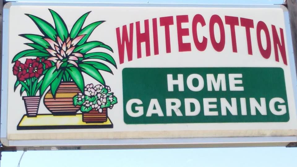 Whitecotton's Greenhouse logo