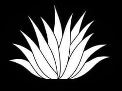 Dos Chiles Grandes logo