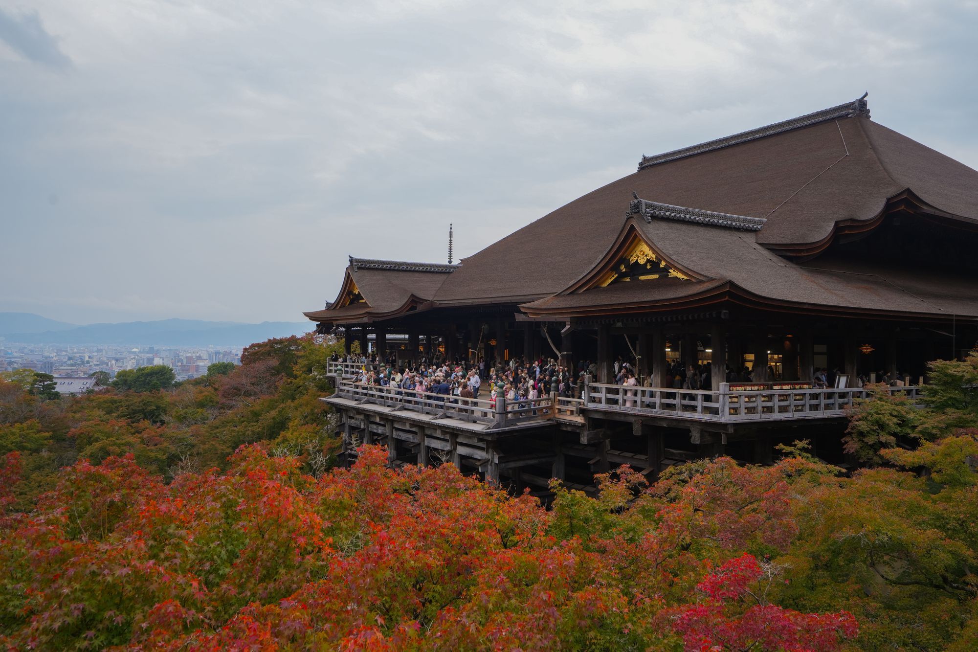 Kiyomizu-dera temple rising above red and orange autumn foliage in Kyoto, Japan