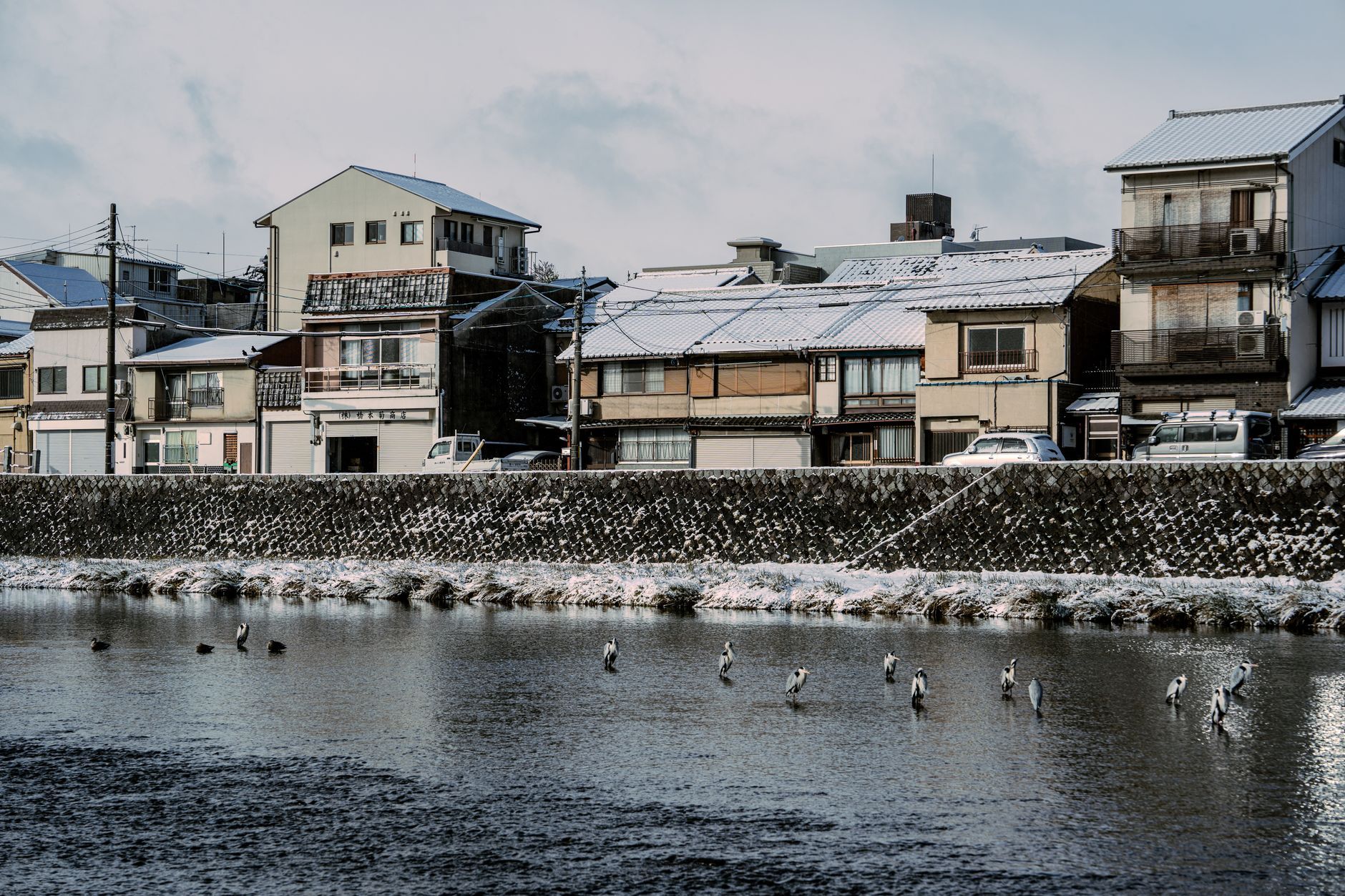 Snow on the roofs of traditional wooden houses along a Kyoto riverside on a grey winter morning