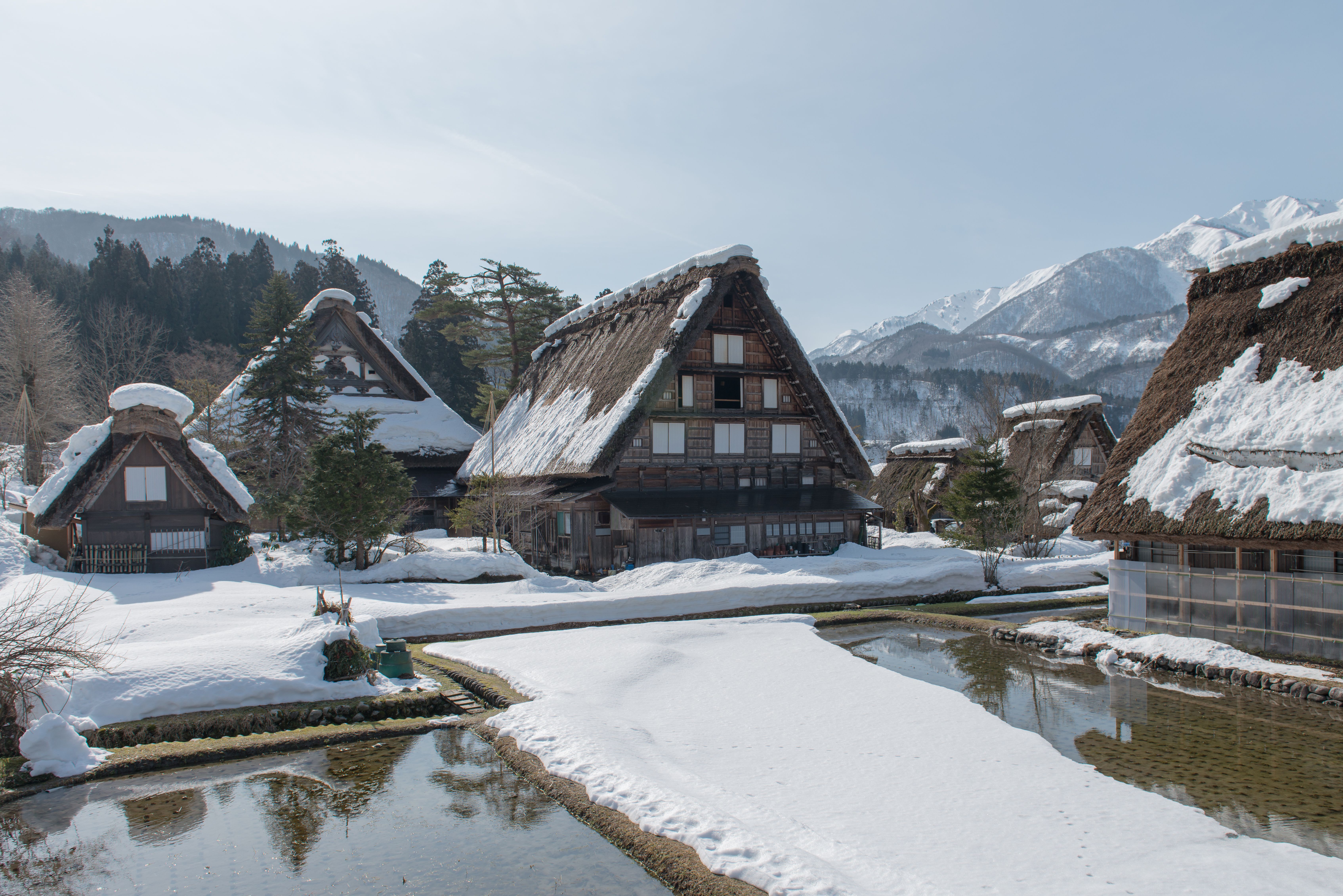 Snow-covered traditional gassho-zukuri houses in Shirakawa-go, Japan, on a clear winter day