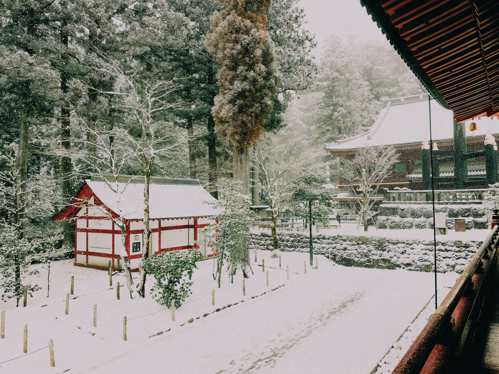 Snow covering the roofs and stone lanterns of Nikko Toshogu Shrine, with cedar forest behind it on a still winter morning