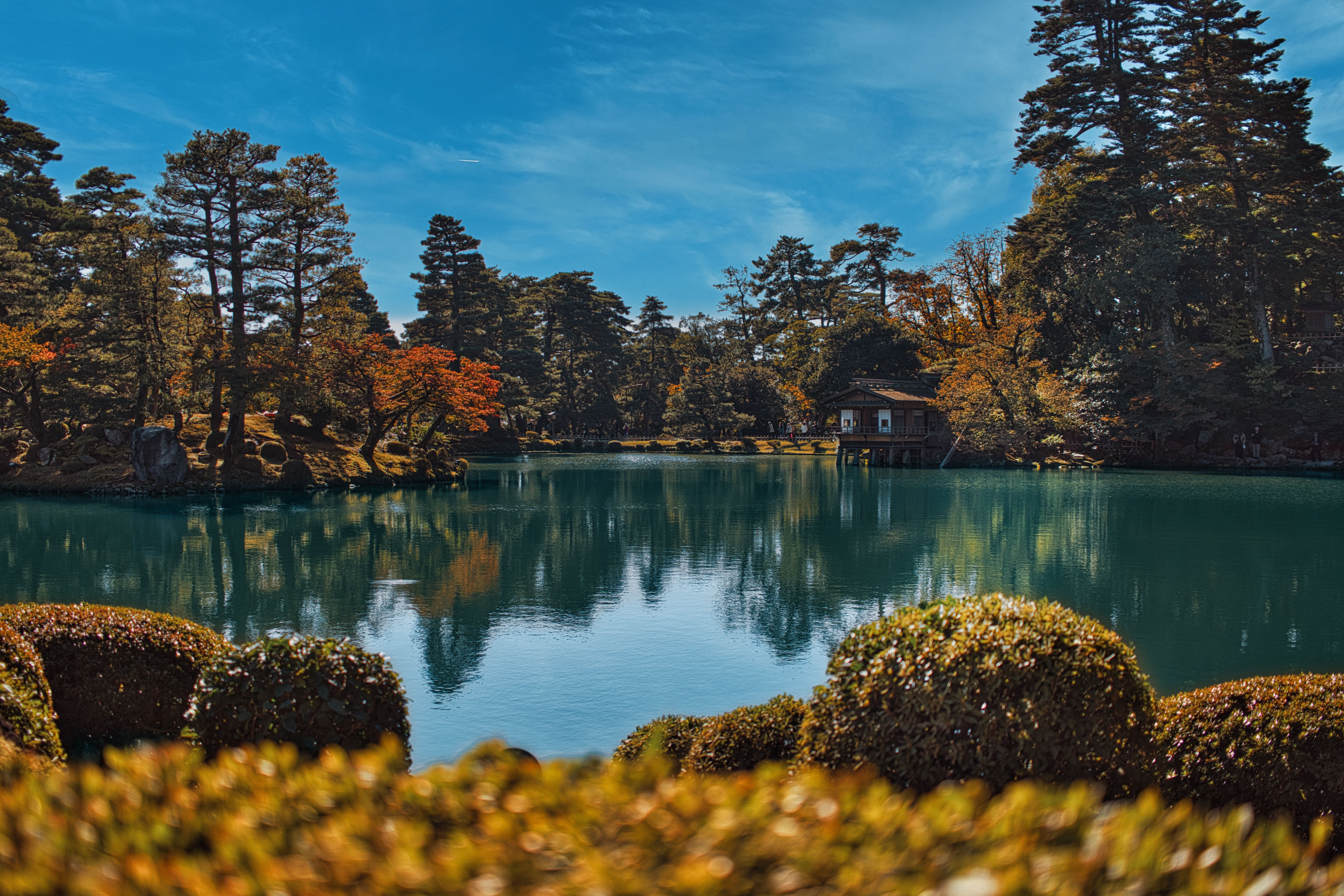 Autumn view of Kenroku-en garden in Kanazawa with a pond, stone lantern and turning maple foliage