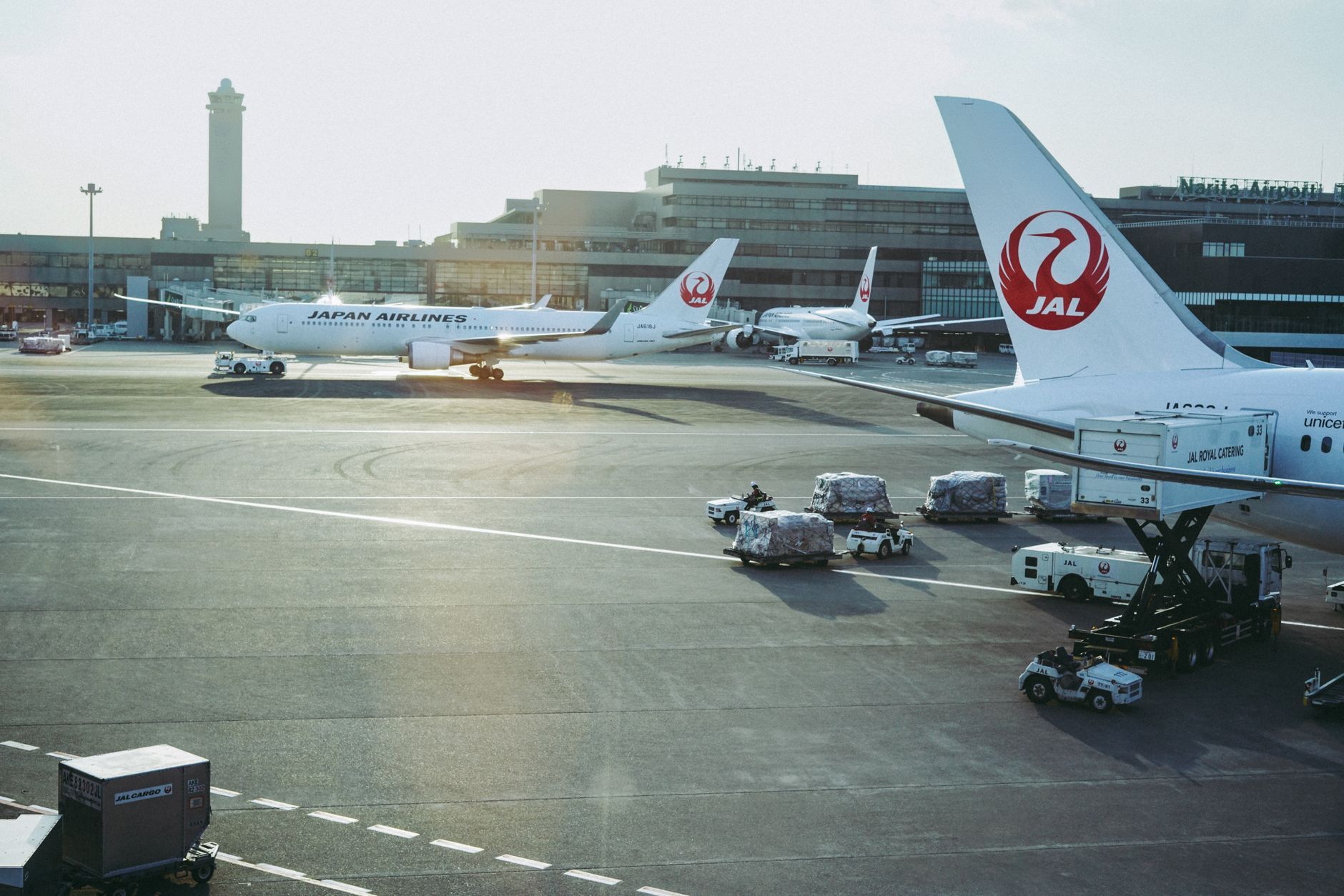 Japan Airlines aircraft parked on the apron at Narita International Airport in Chiba, Japan