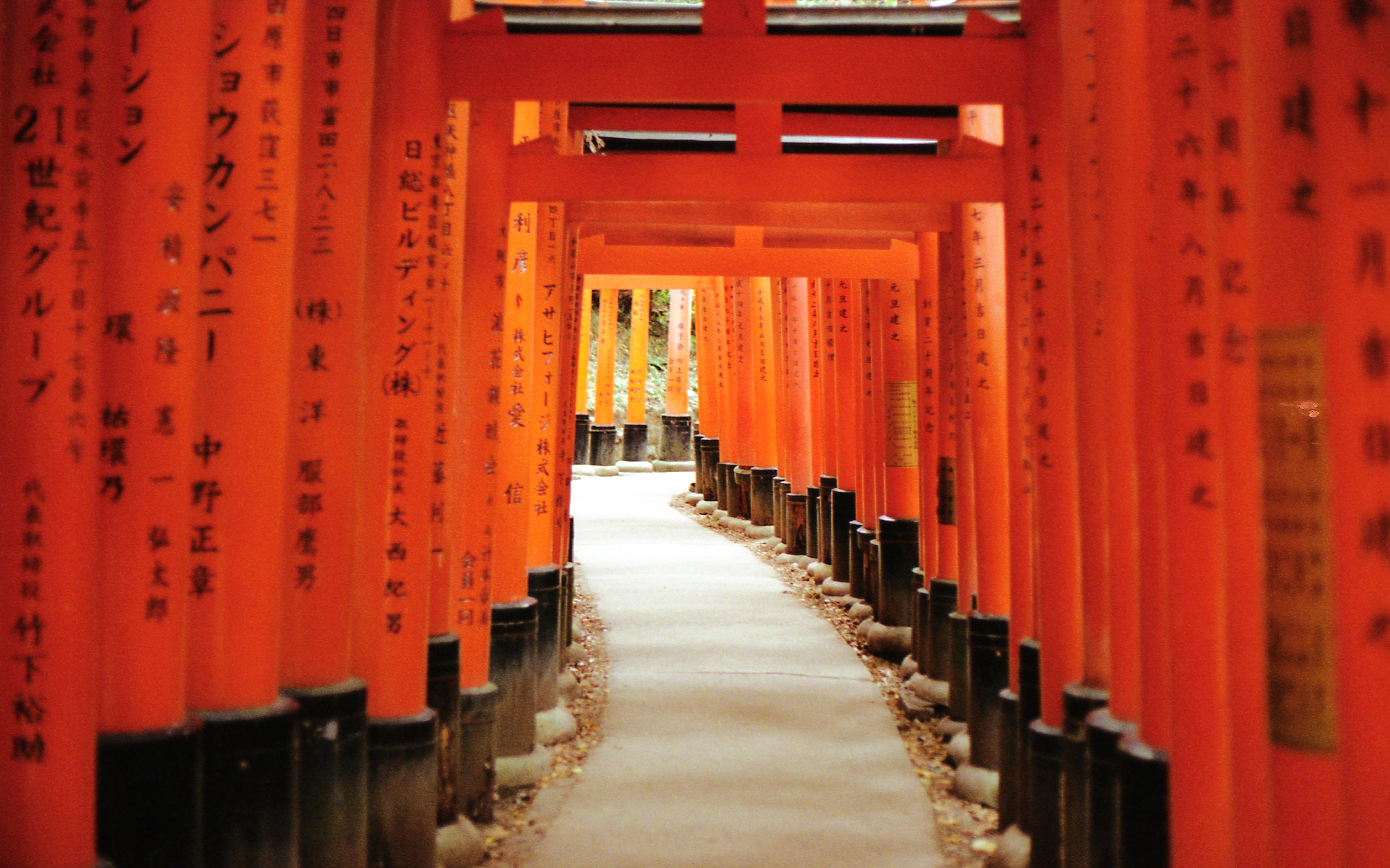 Tunnel of vermilion torii gates at Fushimi Inari shrine in Kyoto, a highlight of a 7-day Japan itinerary