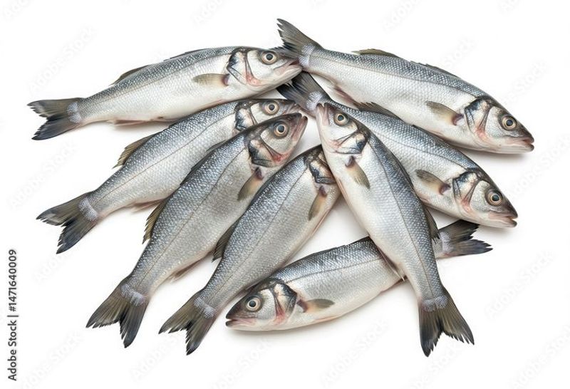 Fishes