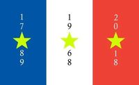 Gilets Jaunes (Yellow Vests) Movement
