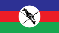 Chin National Defense Force