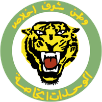 Tiger Forces (Syrian 25th Special Mission Forces Division)