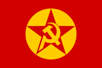 Revolutionary People's Liberation Party-Front (DHKP-C)
