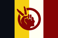 American Indian Movement (AIM)