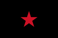 Zapatista Army of National Liberation (EZLN)
