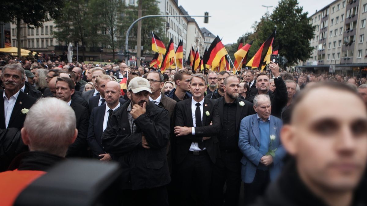 AfD demonstration (Der Spiegel)