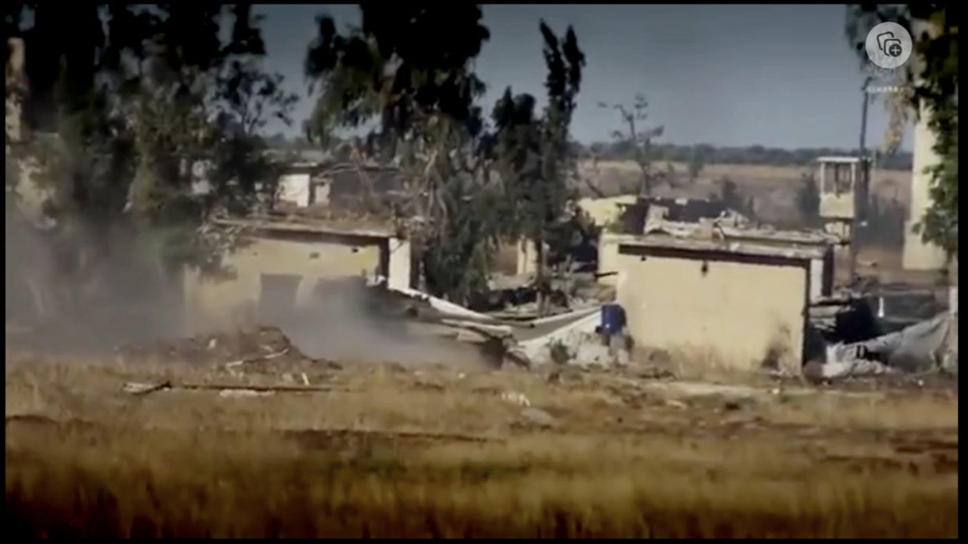The first video clip shows fig