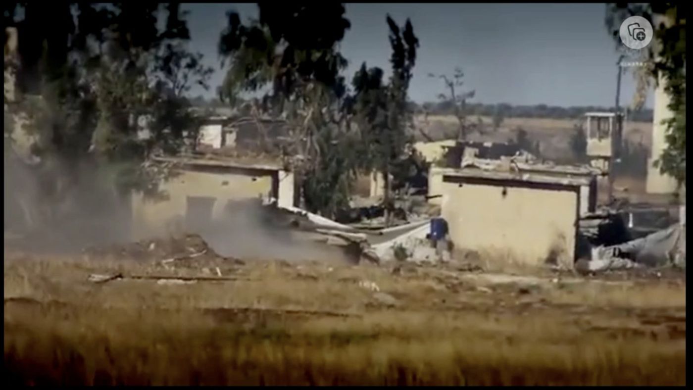 The first video clip shows fig