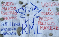 Resistencia Mapuche Lavkenche (RML)