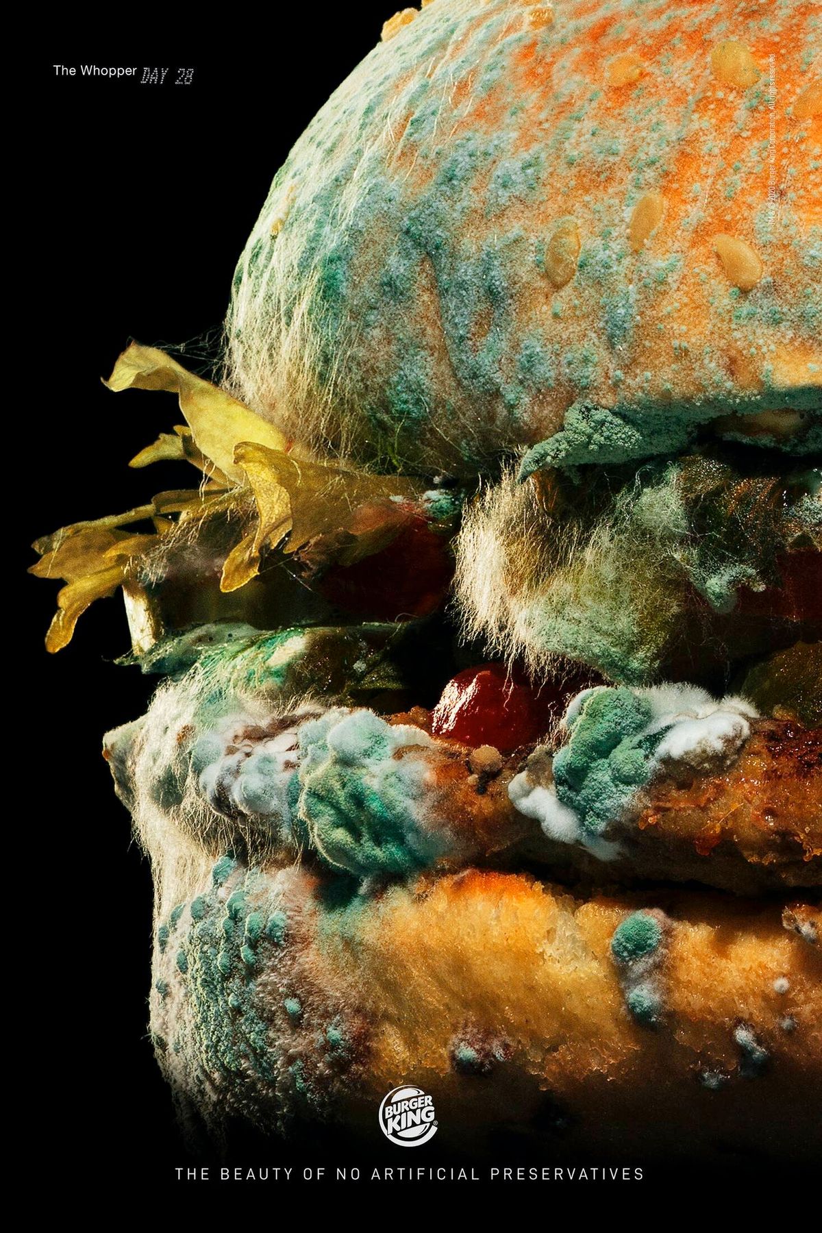 Burger King campaign photograph showing a Whopper covered in mould.