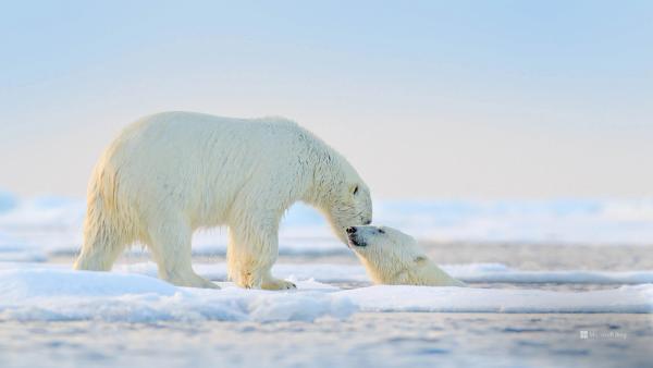 Harbourside Residence