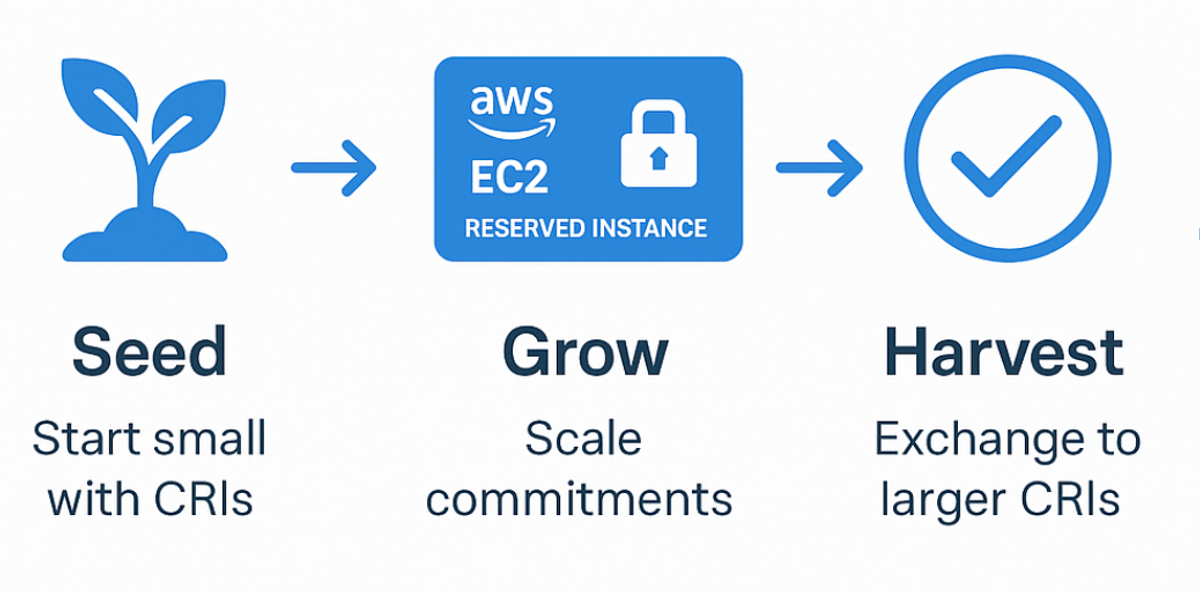 Grow, seed, scale commitments