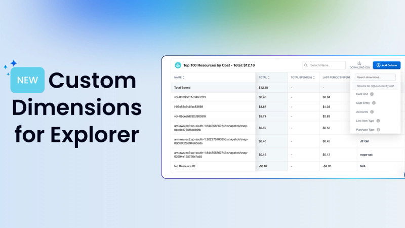 Introducing Custom Dimensions for Explorer
