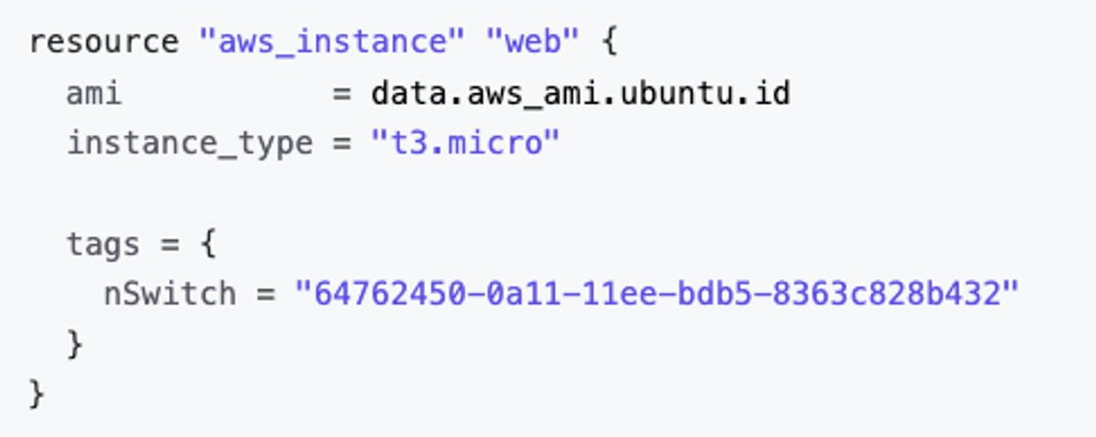 The image above shows an example of the Terraform configuration viz specified tag