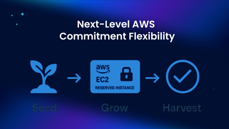 AWS CRIs: Achieving Next-Level AWS Commitment Flexibility & Savings with nOps