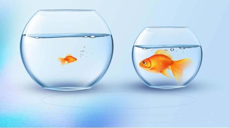 Two goldfish, one in a big bowl and one in a right-sized bowl