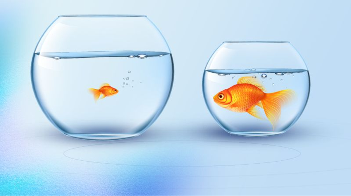 Two goldfish, one in a big bowl and one in a right-sized bowl
