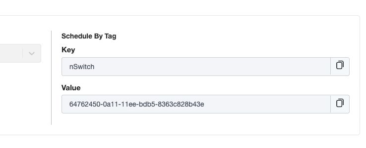 The image above shows an example of the tag key value generated by nOps