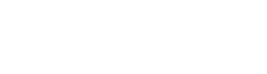 DeepSeek