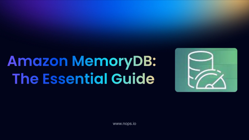 Amazon MemoryDB Pricing: The Essential Guide