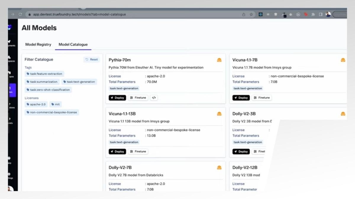 TrueFoundry platform model catalogue