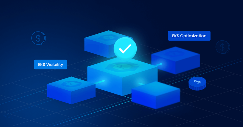 EKS Visibility and Optimization: Closing the Container Cost Allocation Gap