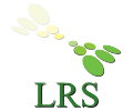 Lifetime Recruiting Strategies