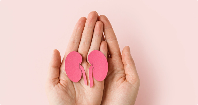 Chronic Kidney Disease