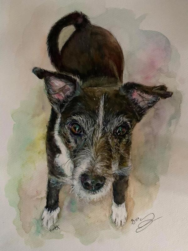 ready to go - Watercolour