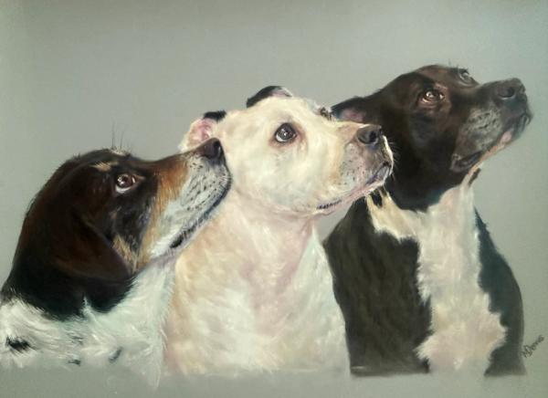TMV (Their Master's Voice)