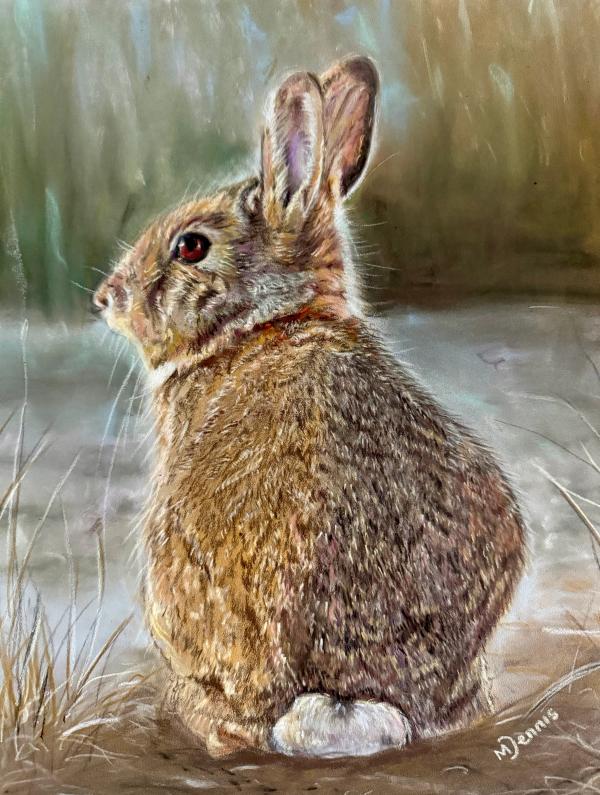 What's up, doc?