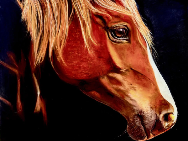Equine Dusk