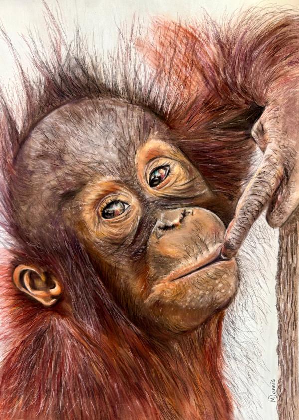 Cheeky Ape