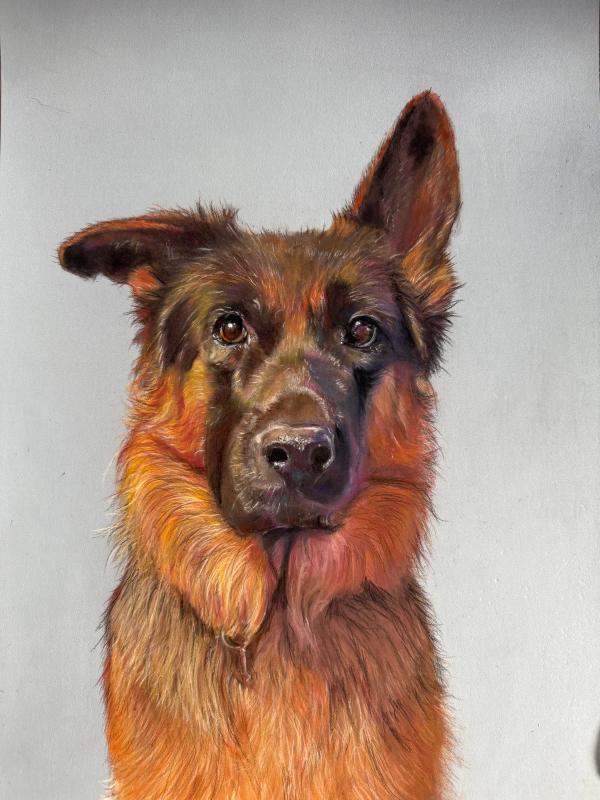 attentiuh? - Pastel Portrait